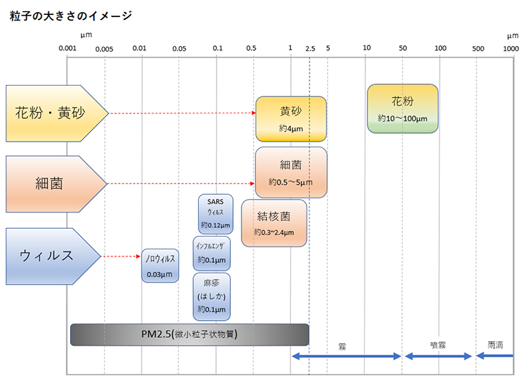 粒子の大きさのイメージ